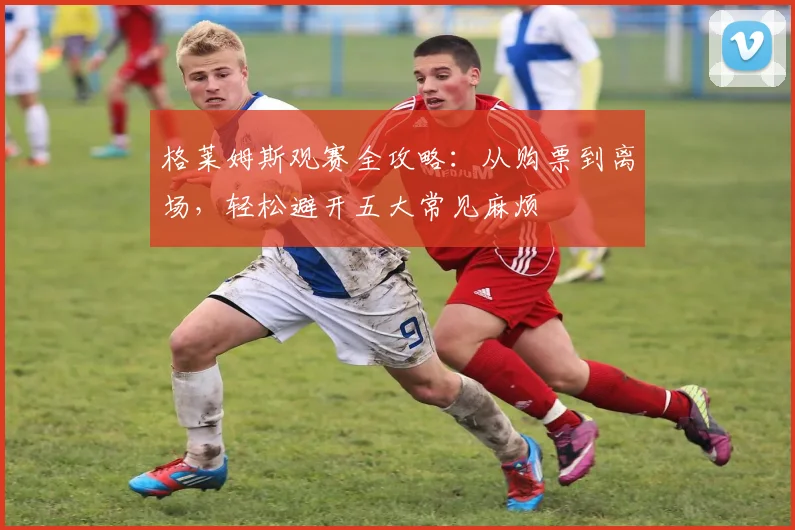 格莱姆斯观赛全攻略:从购票到离场,轻松避开五大常见麻烦