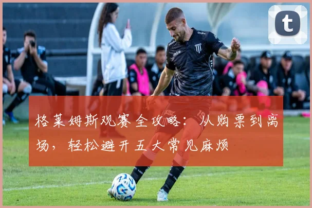 格莱姆斯观赛全攻略：从购票到离场，轻松避开五大常见麻烦